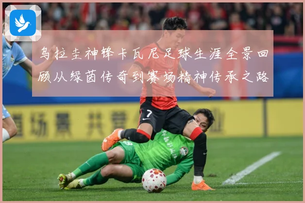 乌拉圭神锋卡瓦尼足球生涯全景回顾从绿茵传奇到赛场精神传承之路-深度解析